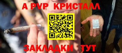 молекула духа Будённовск
