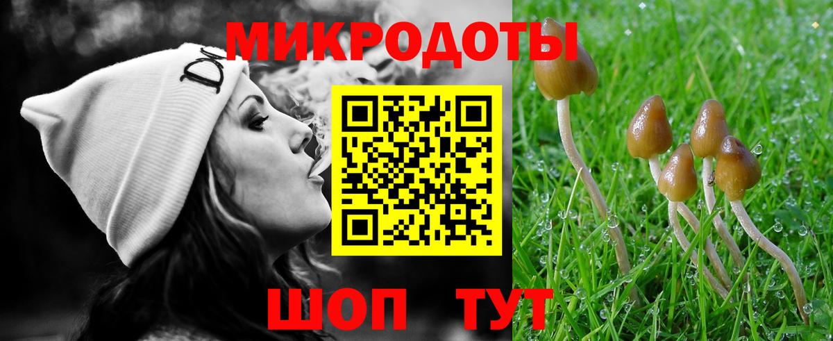 Луга  Галлюциногенные грибы Cubensis  Вход с VPN  Псилоцибиновые грибы GOLDEN TEACHER 